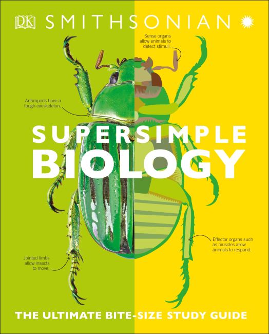 DK 儿童新系列3本 SuperSimple Biology极简生物，SuperSimple Chemistry 极简化学 SuperSimple Physics 极简物理 高清PDF