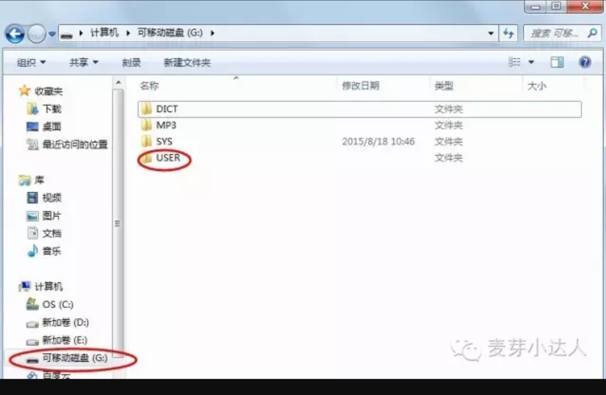 Screenshot_20250801_213809.jpg