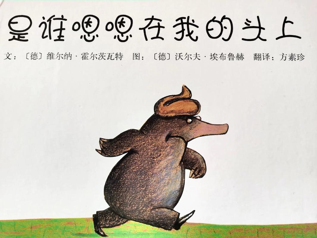 8c50b7aa-37d2-4a5b-8468-52bd6e4102a8.jpg