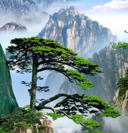 1764661187193361.png 5d6b6ff8-0173-4e22-bb1e-0aa465b566d1.png