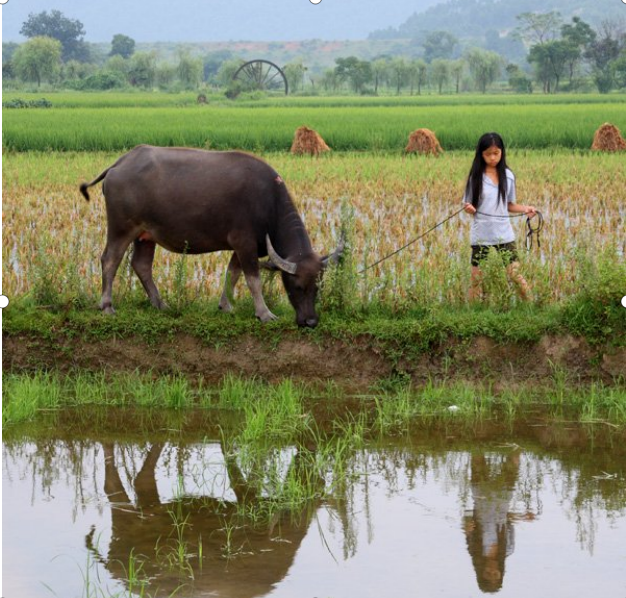 1773323604215305.png image.png