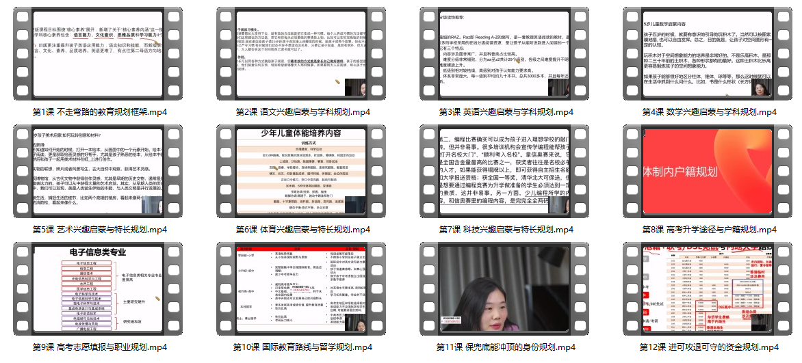 朱丹学习规划陪伴课