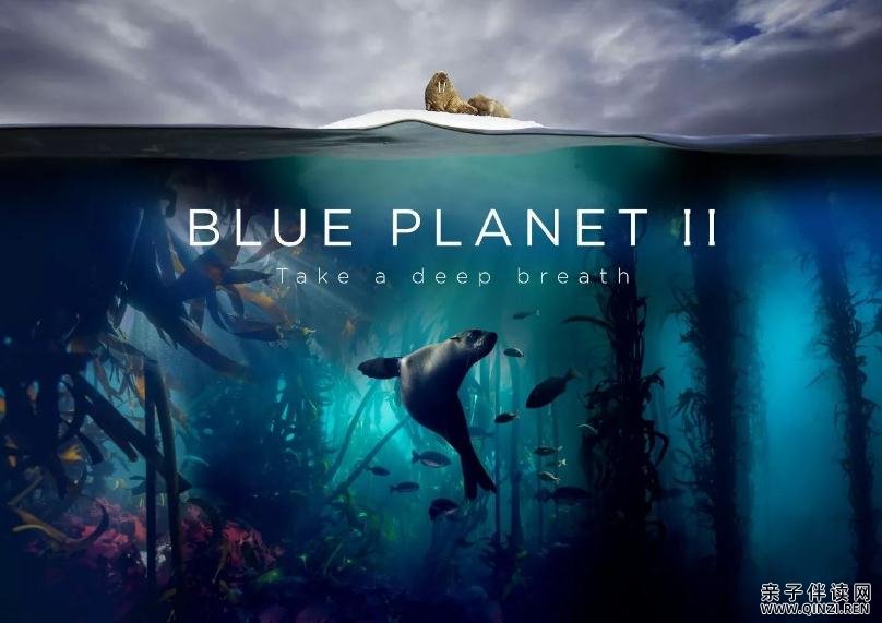 蓝色星球 The Blue Planet 第一季BD