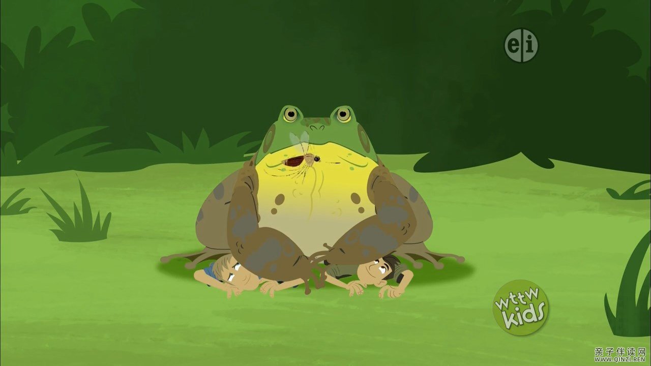 动物兄弟英文版第二季23集英文发音无字幕动画片
