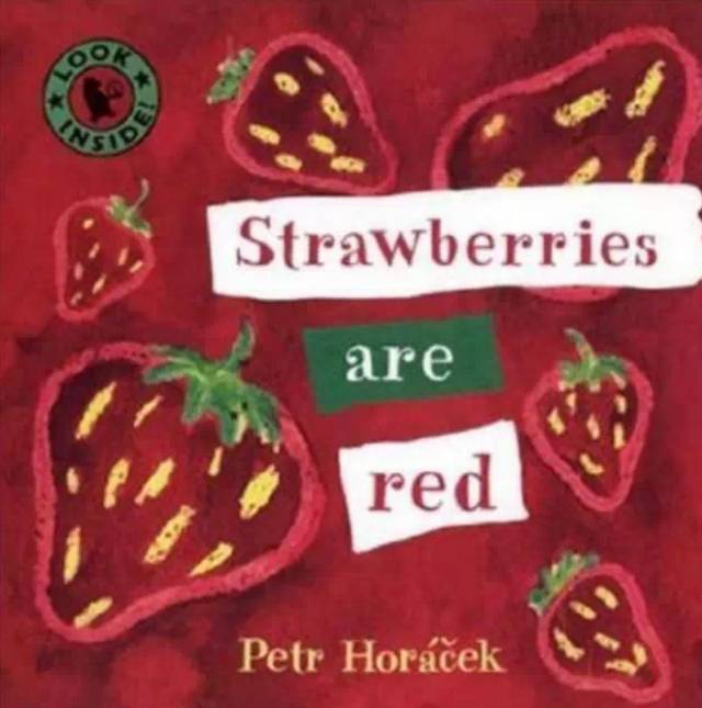 Strawberries are red 草莓是红色的小达人贴纸点读包