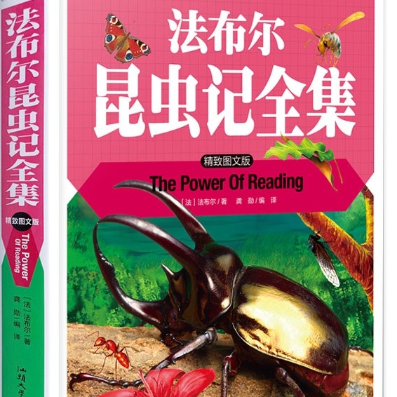 [儿童睡前故事][音频]法布尔昆虫记32集[MP3]