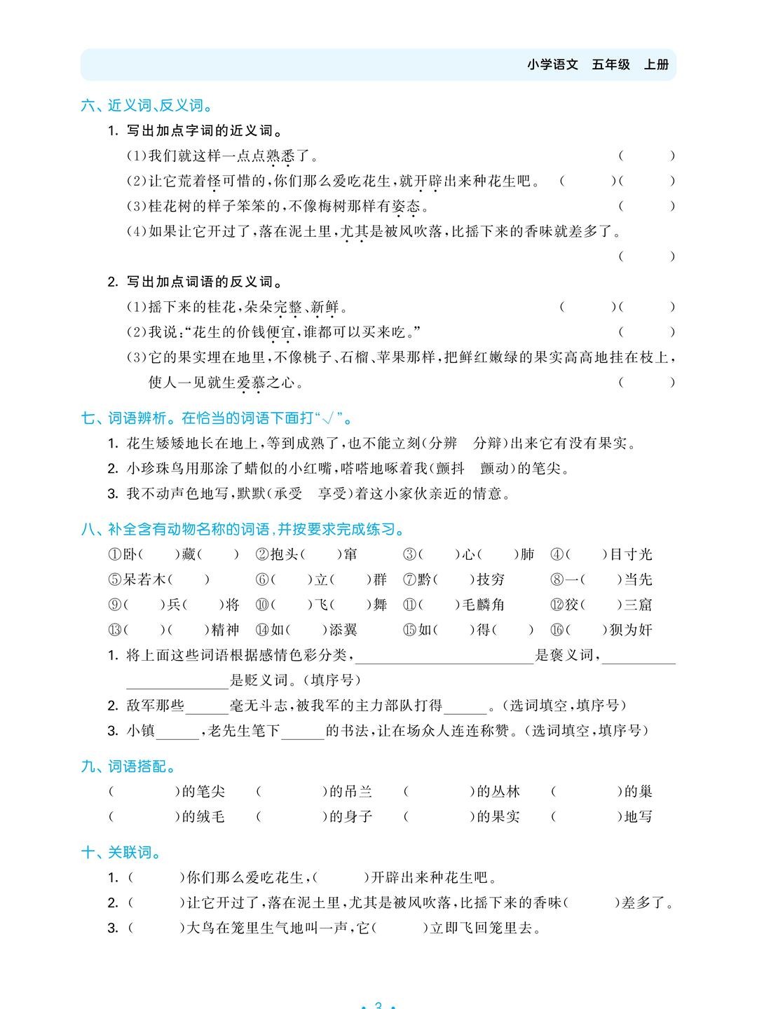 1-1789282602xhs_slide_1.jpg