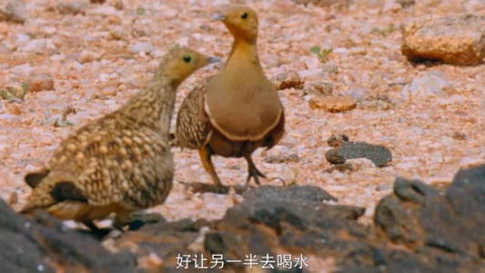 A36、小小世界tiny world(分级阅读资料已整理好)