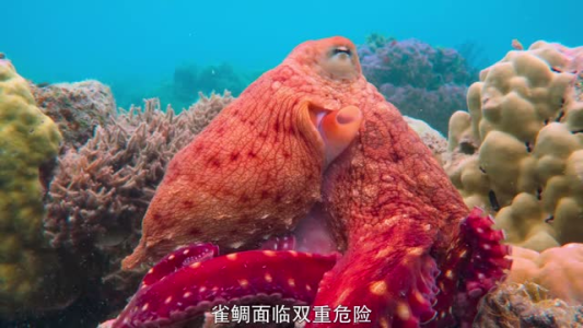 体积构成