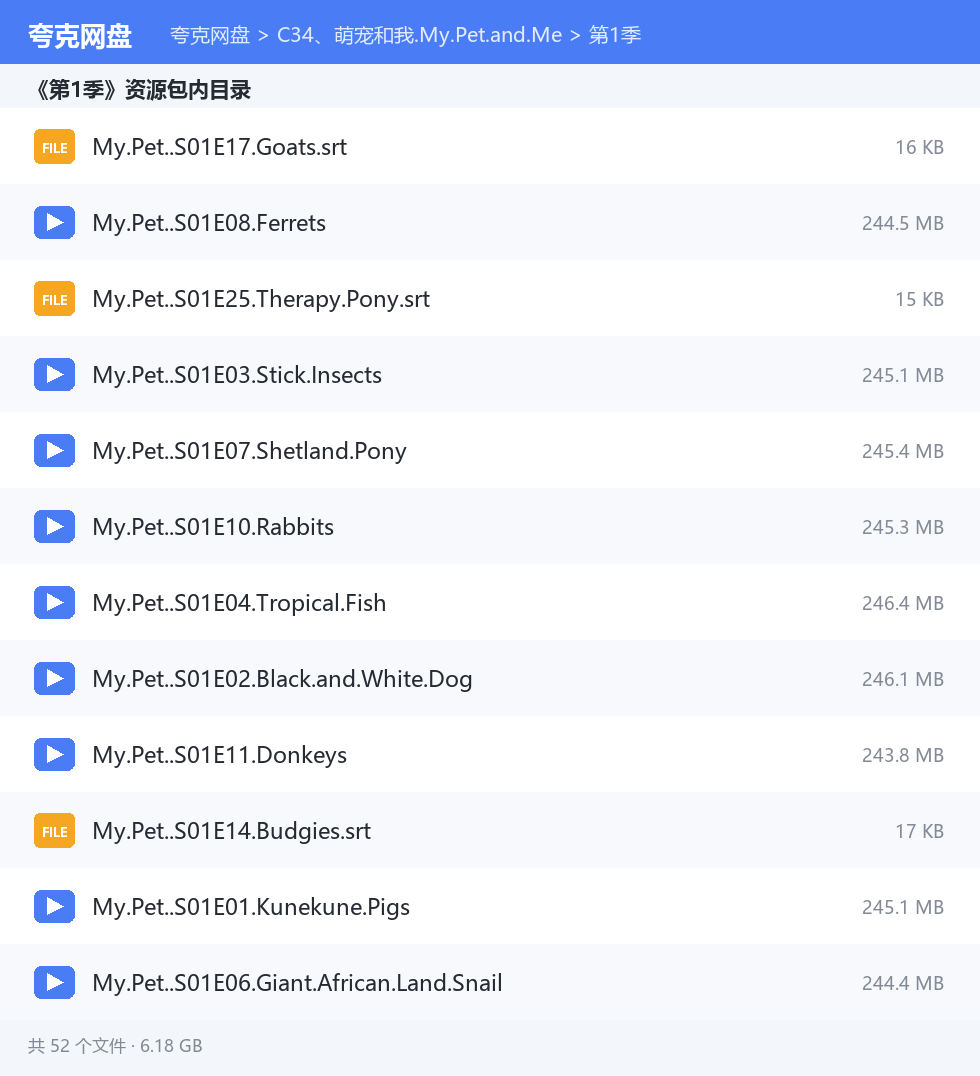 完整文件清单
