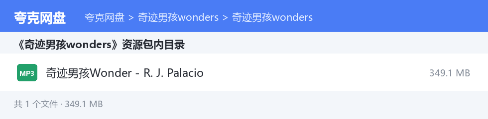 奇迹男孩wonders 资源文件清单