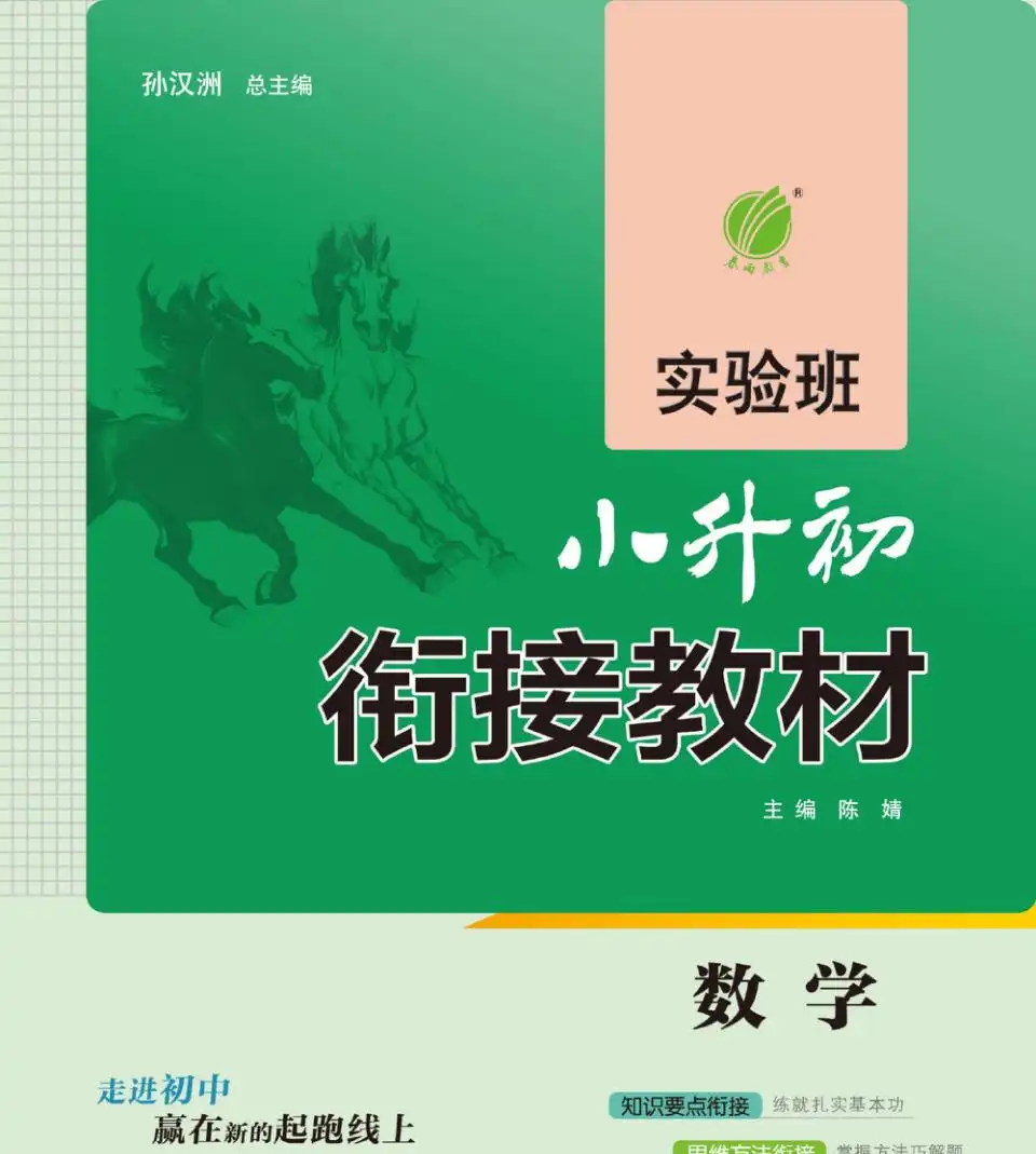 真实资料内容预览